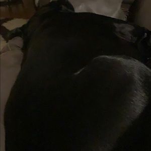 Meet your Posher, Jon